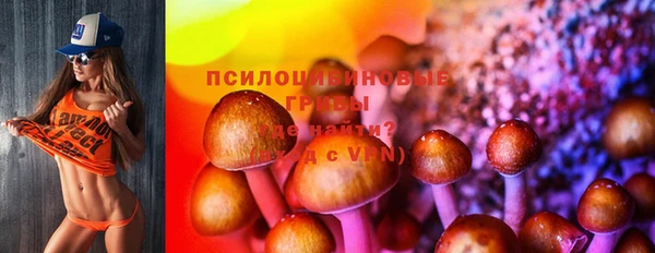 Альфа ПВП Беломорск